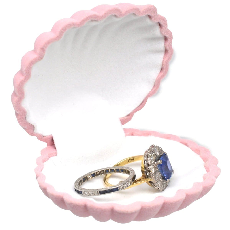 Vintage pink scallop shell jewellery display case holding two rings, perfect for organizing and showcasing jewelry.