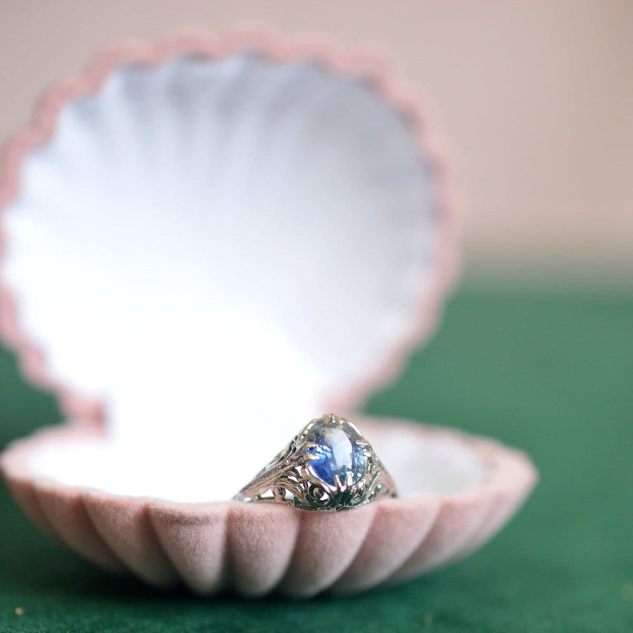 Vintage pink scallop shell jewellery display case showcasing a ring, perfect for organizing and presenting small pieces.