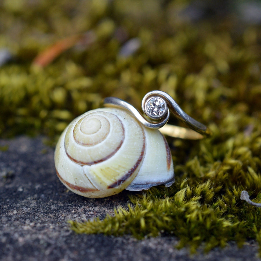 Art Deco gold and platinum twist solitaire ring with diamond, placed on a natural snail shell.