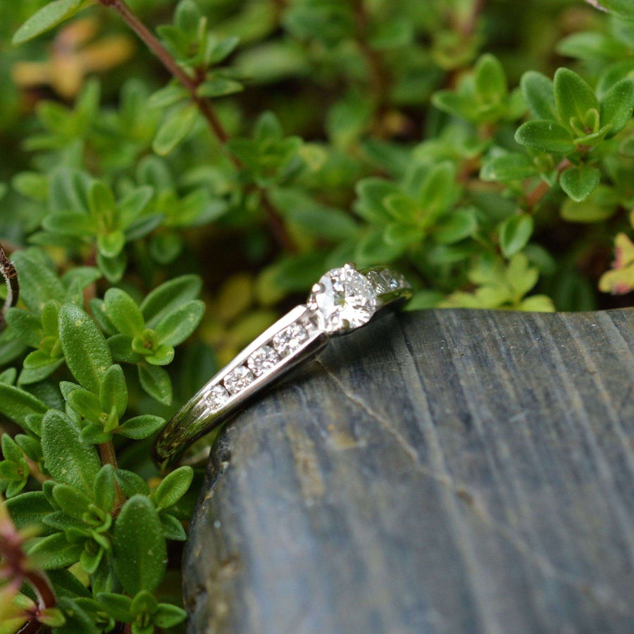 Modern 18ct white gold solitaire ring with diamond shoulders, set against greenery.