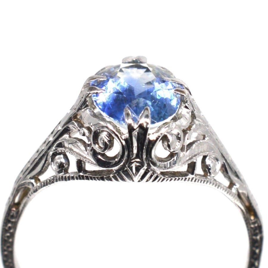 Belle-Époque-Ring aus 18 Karat Weißgold mit einem kornblumenblauen Saphir und einem verschlungenen Blattwerk.