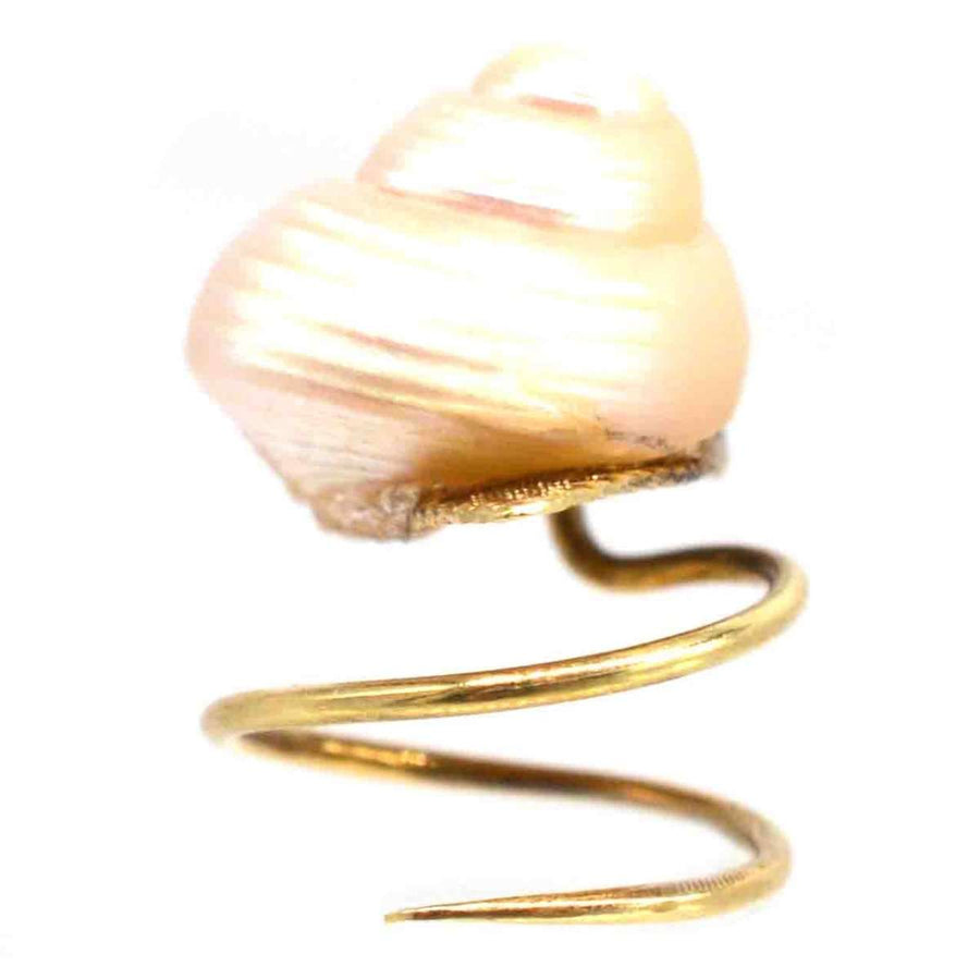 Winzige viktorianische Brosche aus 18-karätigem Gold mit einer echten Muschel mit spiralförmigen Details.