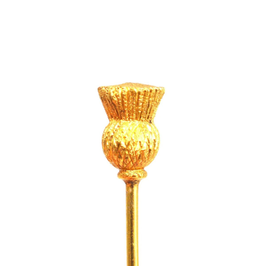 Viktorianische 18ct Gold schottischen Distel Krawattennadel | Parkin und Gerrish | Antike & Vintage-Schmuck
