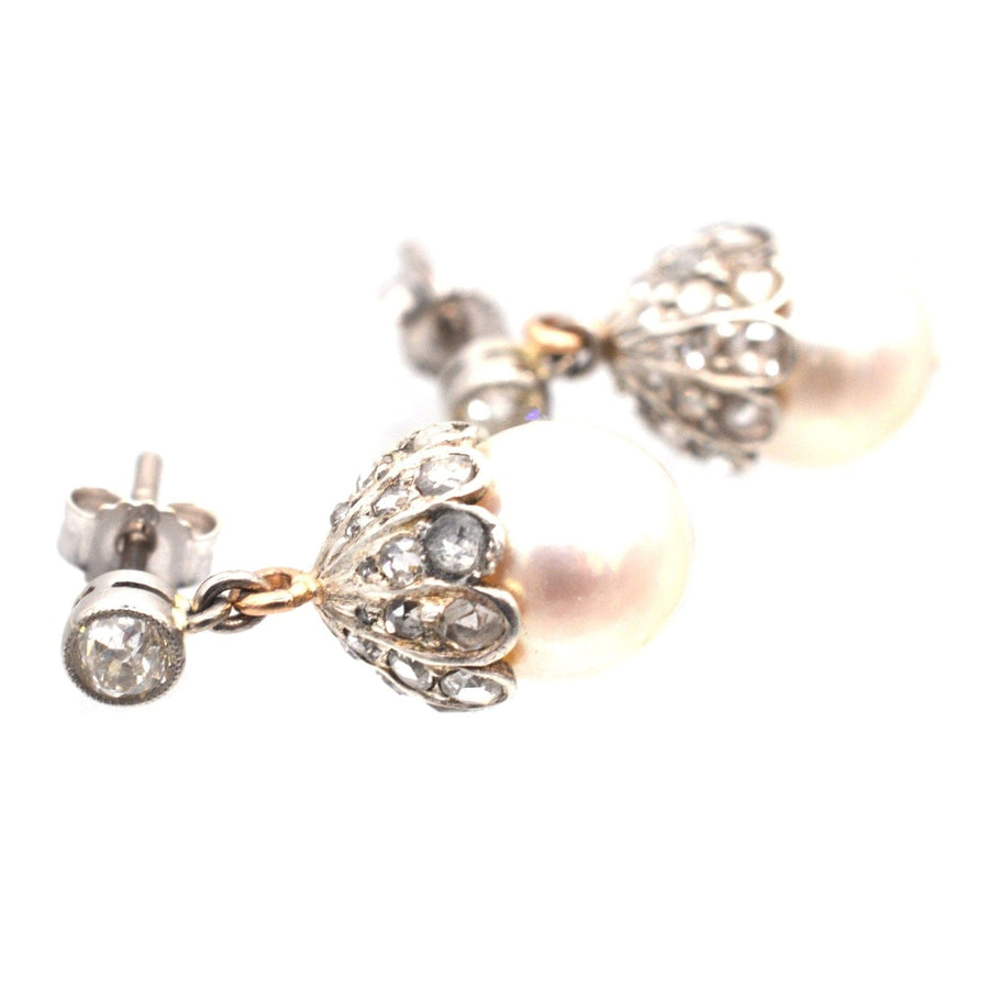 Elegante edwardianische Ohrringe aus 18 Karat Weißgold mit Zuchtperlen und rosafarbenen Diamanten, perfekt für jede Schmucksammlung.